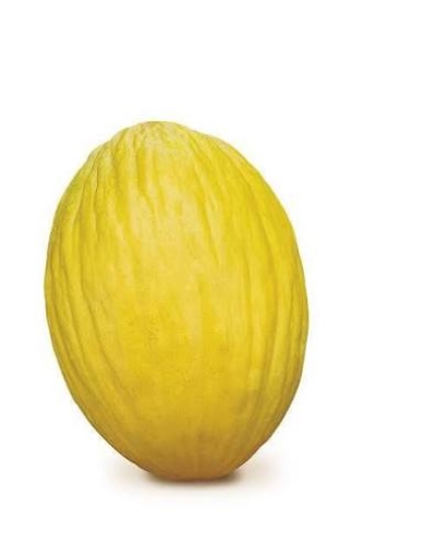 Melone Giallo Bio