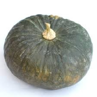 Zucca Delica Bio