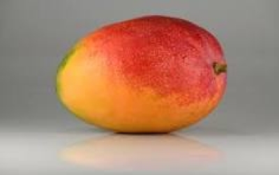 MANGO BIO