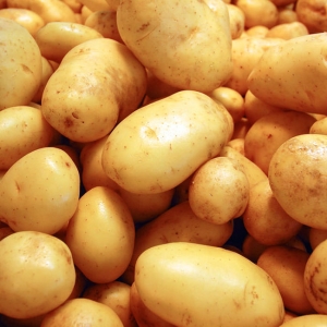 Patate Bio